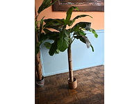 Kunstplant (2x) - afbeelding 2 van  3