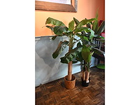 Kunstplant (2x) - afbeelding 2 van  3