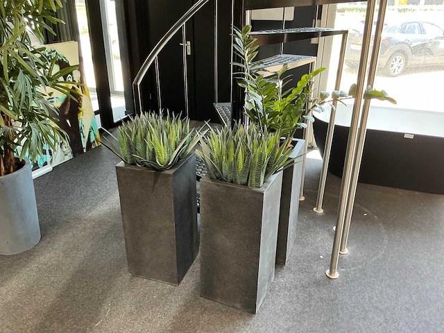 Kunstplant (3x) - afbeelding 1 van  6