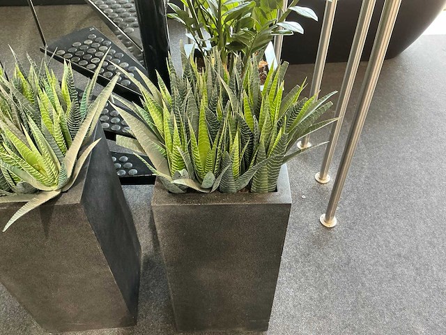 Kunstplant (3x) - afbeelding 4 van  6