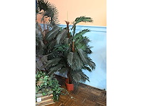 Kunstplant (3x) - afbeelding 3 van  4