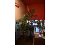 Kunstplant (3x) - afbeelding 2 van  3