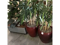 Kunstplant (3x)