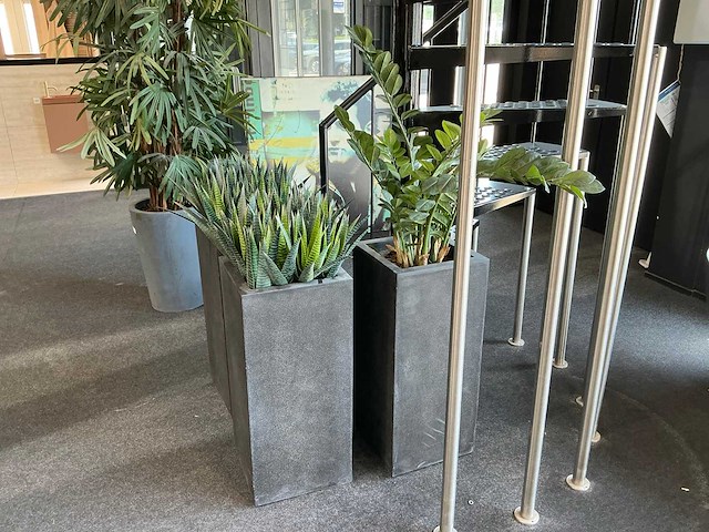 Kunstplant (3x) - afbeelding 6 van  6
