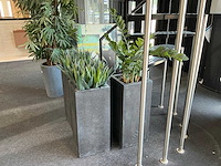Kunstplant (3x) - afbeelding 6 van  6