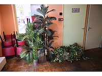 Kunstplant (4x) - afbeelding 1 van  5