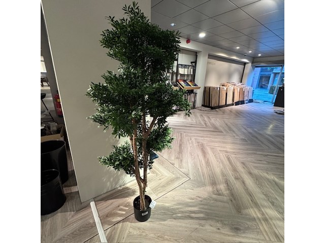 Kunstplant, colours&green, black willow tree - afbeelding 1 van  2