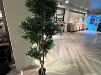 Kunstplant, colours&green, black willow tree - afbeelding 1 van  2