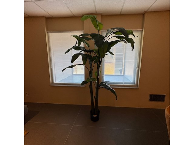 Kunstplant, colours&green, musa coccinea, groen - afbeelding 1 van  4