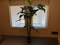 Kunstplant, colours&green, musa coccinea, groen - afbeelding 1 van  4