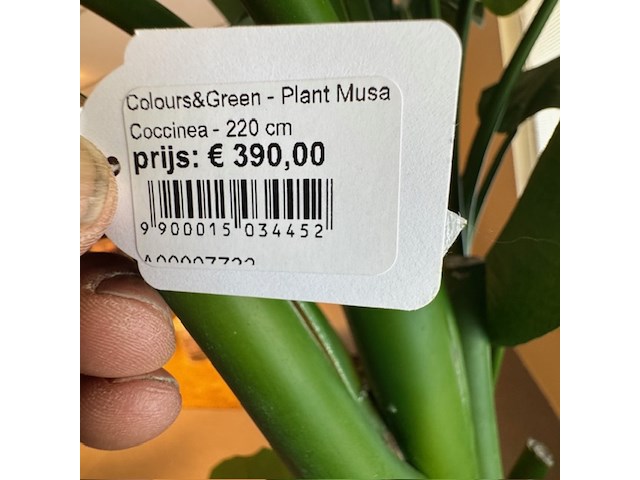 Kunstplant, colours&green, musa coccinea, groen - afbeelding 2 van  4