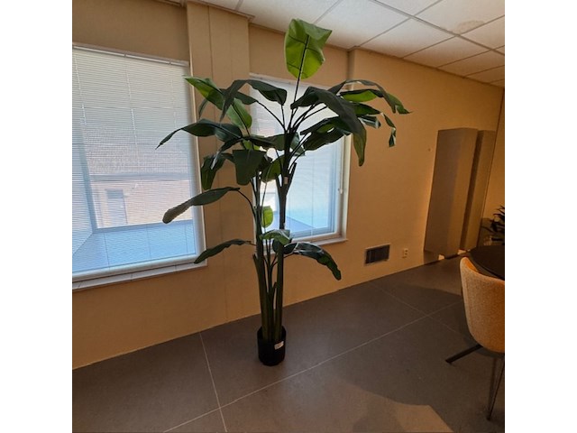 Kunstplant, colours&green, musa coccinea, groen - afbeelding 3 van  4