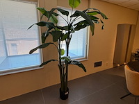 Kunstplant, colours&green, musa coccinea, groen - afbeelding 3 van  4