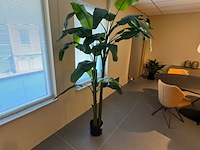 Kunstplant, colours&green, musa coccinea, groen - afbeelding 4 van  4