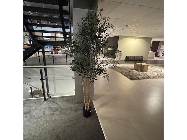 Kunstplant colours&green, olive - afbeelding 1 van  4