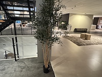 Kunstplant colours&green, olive - afbeelding 1 van  4
