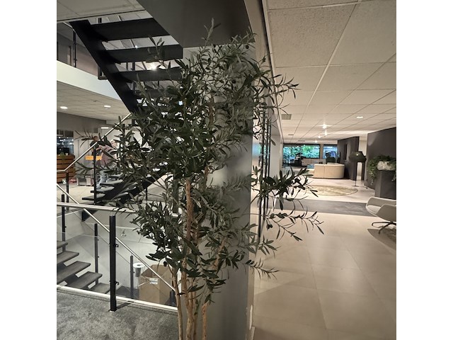 Kunstplant colours&green, olive - afbeelding 4 van  4