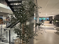 Kunstplant colours&green, olive - afbeelding 4 van  4
