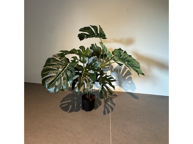 Kunstplant colours&green, plant split philo - afbeelding 1 van  3
