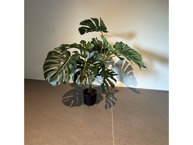 Kunstplant colours&green, plant split philo - afbeelding 2 van  3