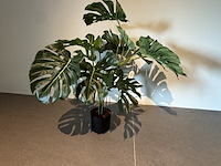 Kunstplant colours&green, plant split philo - afbeelding 2 van  3
