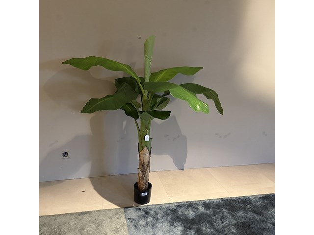 Kunstplant colours&green, royal banana tree - afbeelding 1 van  3