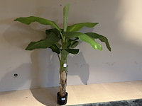 Kunstplant colours&green, royal banana tree - afbeelding 1 van  3