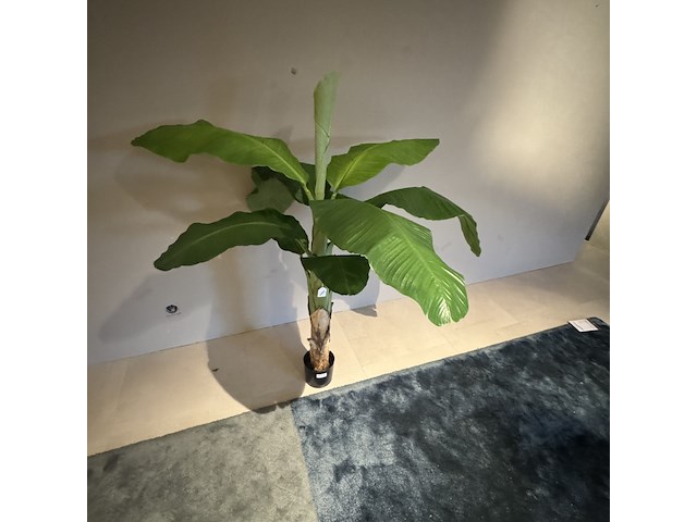 Kunstplant colours&green, royal banana tree - afbeelding 3 van  3