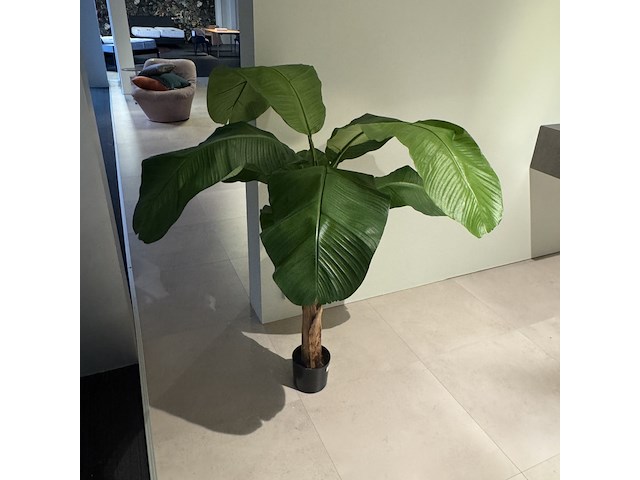 Kunstplant colours&green, royal banana tree - afbeelding 1 van  4