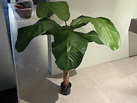 Kunstplant colours&green, royal banana tree - afbeelding 1 van  4