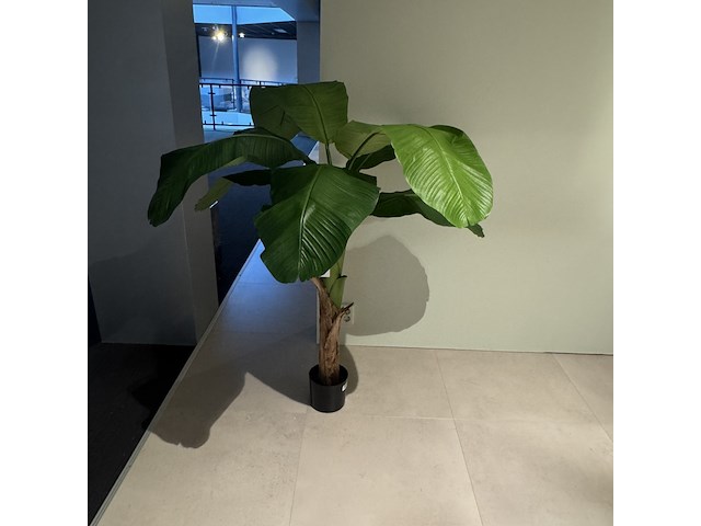 Kunstplant colours&green, royal banana tree - afbeelding 2 van  4
