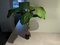 Kunstplant colours&green, royal banana tree - afbeelding 2 van  4