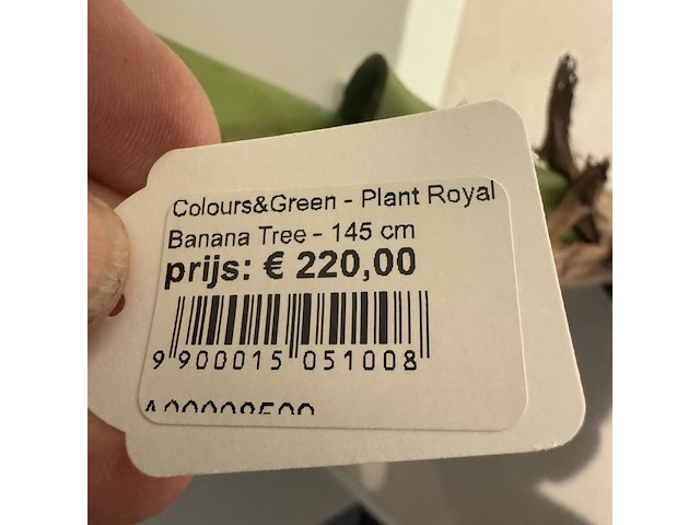 Kunstplant colours&green, royal banana tree - afbeelding 3 van  4