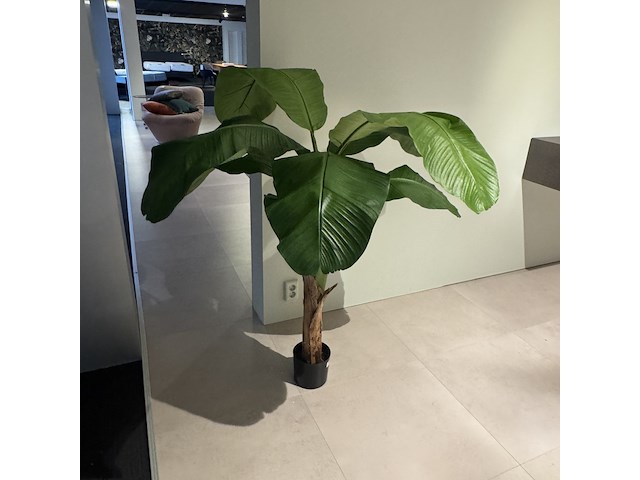 Kunstplant colours&green, royal banana tree - afbeelding 4 van  4