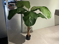 Kunstplant colours&green, royal banana tree - afbeelding 4 van  4