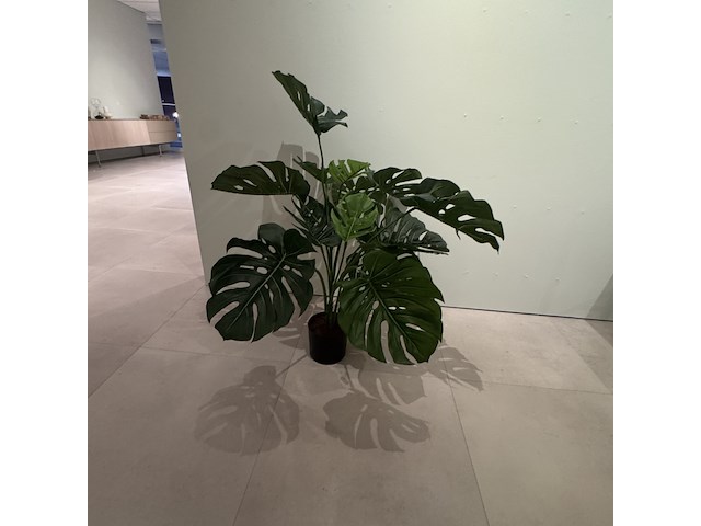 Kunstplant colours&green, split philo - afbeelding 1 van  3
