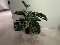 Kunstplant colours&green, split philo - afbeelding 1 van  3