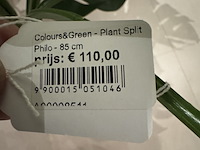 Kunstplant colours&green, split philo - afbeelding 2 van  3