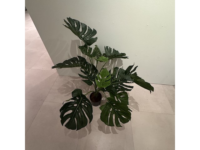 Kunstplant colours&green, split philo - afbeelding 3 van  3