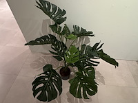 Kunstplant colours&green, split philo - afbeelding 3 van  3