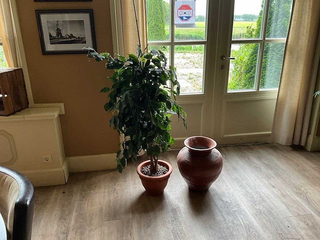 Kunstplant en bloempot - afbeelding 1 van  6