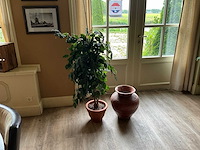 Kunstplant en bloempot - afbeelding 1 van  6