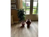 Kunstplant en bloempot - afbeelding 2 van  6