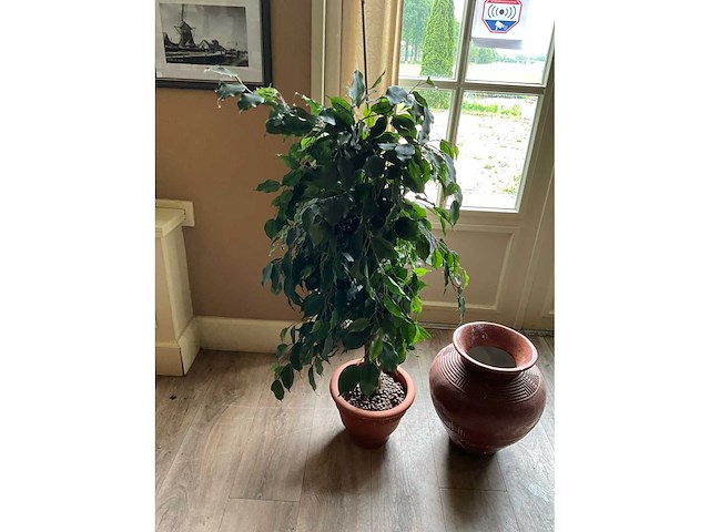 Kunstplant en bloempot - afbeelding 3 van  6