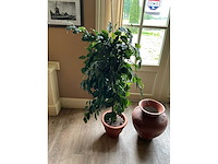 Kunstplant en bloempot - afbeelding 3 van  6