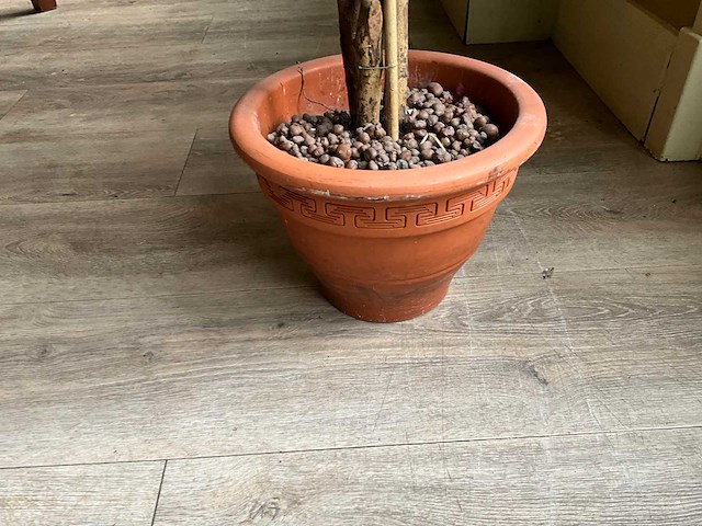 Kunstplant en bloempot - afbeelding 6 van  6