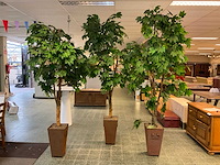 Kunstplant esdoorn | 220 cm - afbeelding 1 van  7