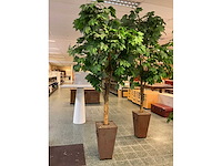 Kunstplant esdoorn | 220 cm - afbeelding 2 van  7