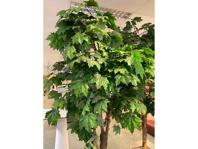 Kunstplant esdoorn | 220 cm - afbeelding 3 van  7