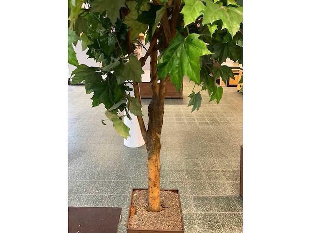 Kunstplant esdoorn | 220 cm - afbeelding 4 van  7
